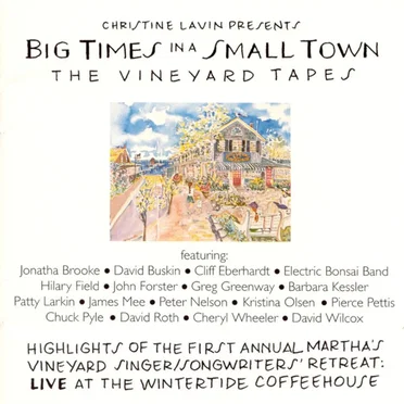 Big Times in a Small Town: The Vineyard Tapes by Various Artists - album cover