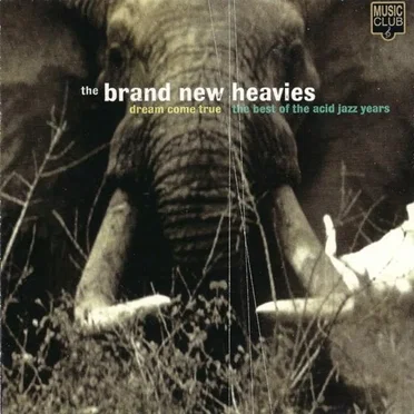 Dream Come True: The Best of the Acid Jazz Years