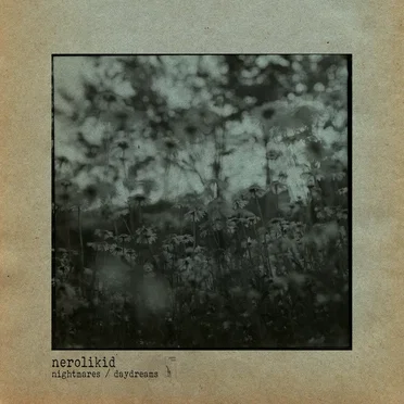 nightmares / daydreams