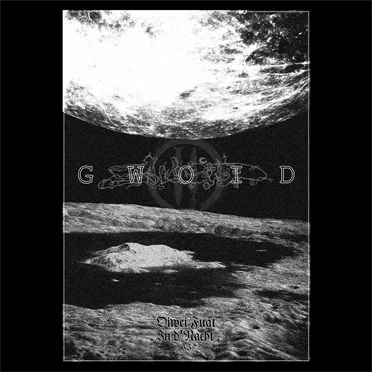 Oiwei Fuat In d'Nacht II by Gwoid - album cover