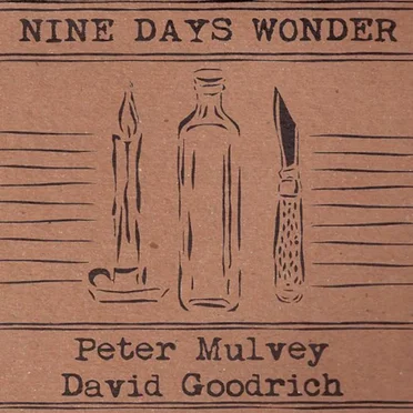 Nine Days Wonder by Peter Mulvey - album cover