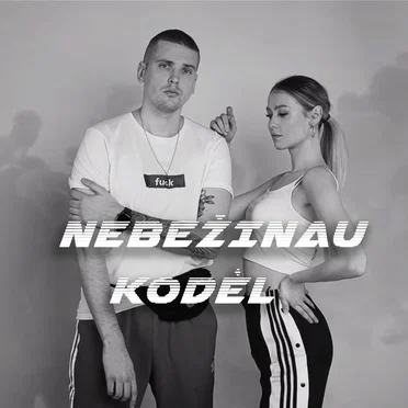 Nebežinau kodėl by Zygga - album cover
