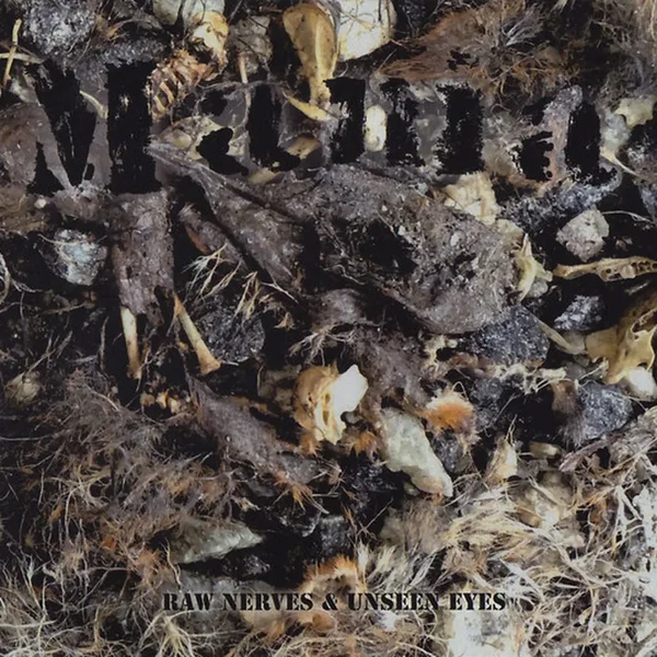 Raw Nerves & Unseen Eyes