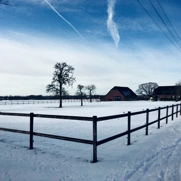 Chill of Winter