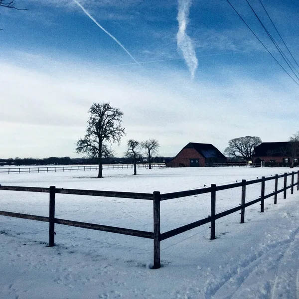 Chill of Winter