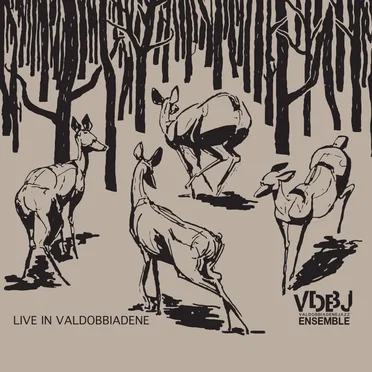 Live In Valdobbiadene by VDBJ ValdobbiadeneJazz Ensamble - album cover