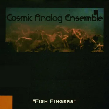 Fish Fingers by Cosmic Analog Ensemble - album cover