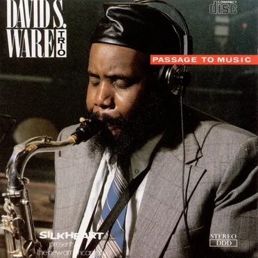 Passage to Music by David S. Ware Trio - album cover