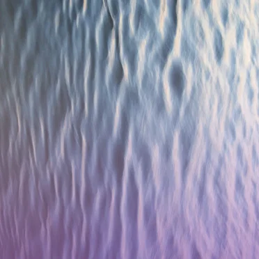 What Do You Feel by Violet Sands - album cover