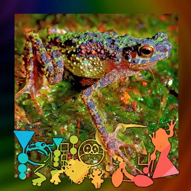 Millicent, the Toad Who Felt Different
