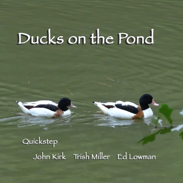 Ducks on the Pond