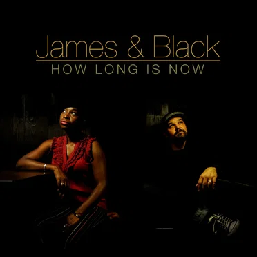 How Long Is Now by James and Black - album cover