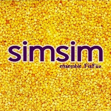 SimSim