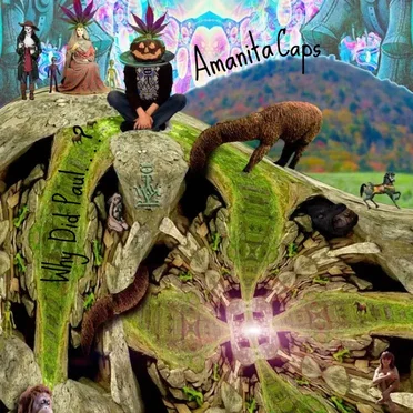 Why Did Paul...? by Amanita Caps - album cover