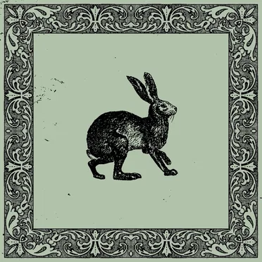 Mr. Hare