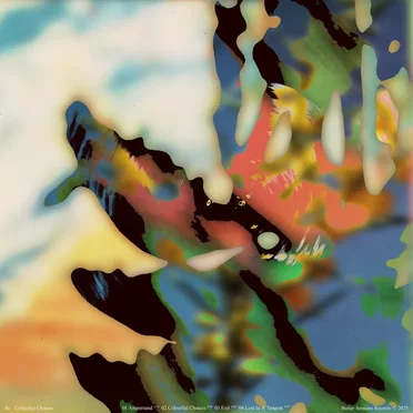 Colourful Choices by iti - album cover