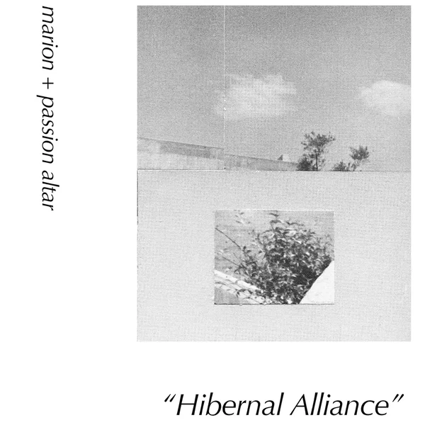 Hibernal Alliance