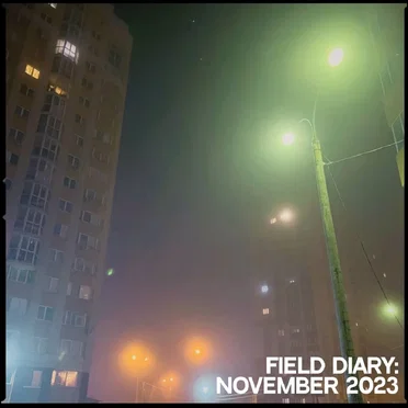 Field Diary: November 2023 by Various Artists - album cover
