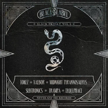 Black Friday, Vol. 6 by Various Artists - album cover