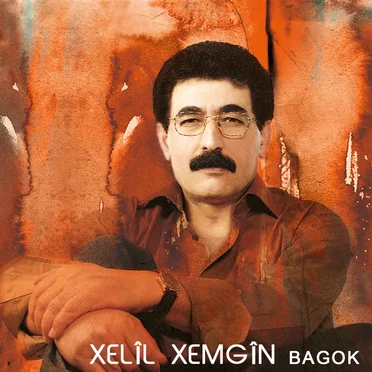 Bagok by Xelîl Xemgîn - album cover