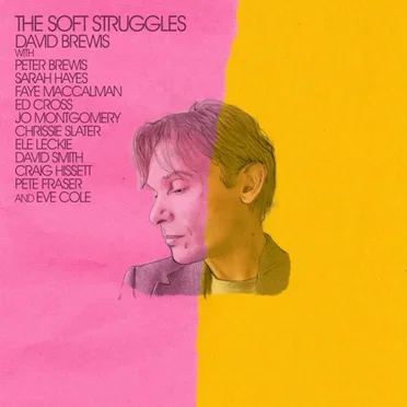 The Soft Struggles by David Brewis - album cover