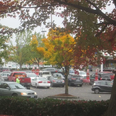 Portland, OR. Oct. 21st, 2019.