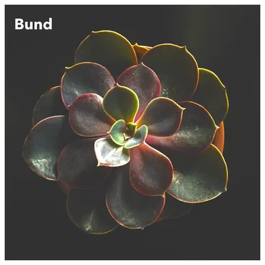 Bund