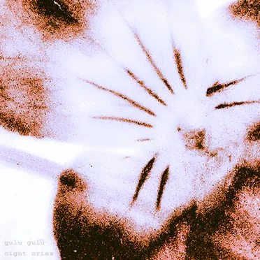 Night Cries by GULU GULU - album cover