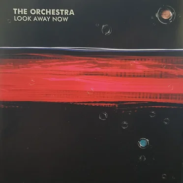 The Orchestra