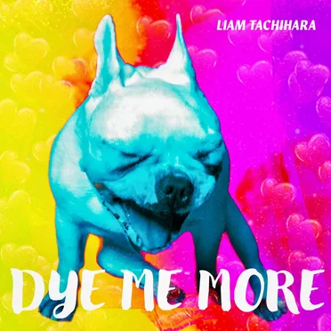Dye Me More by Liam Tachihara - album cover