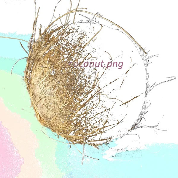 c o c o n u t ep