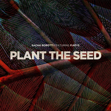 Plant the Seed
