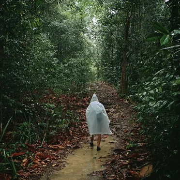 Bung Jagoi - In the Forest