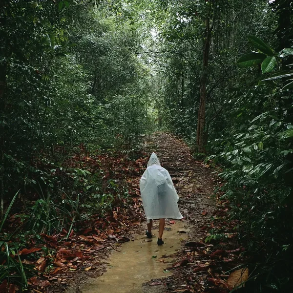 Bung Jagoi - In the Forest