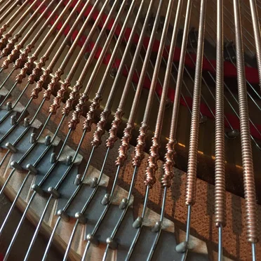 The Piano Blog, Volume 1