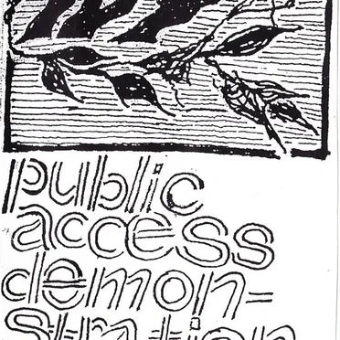 Public Access Demonstration