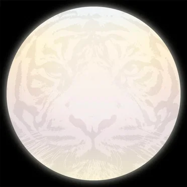 Moon Tiger