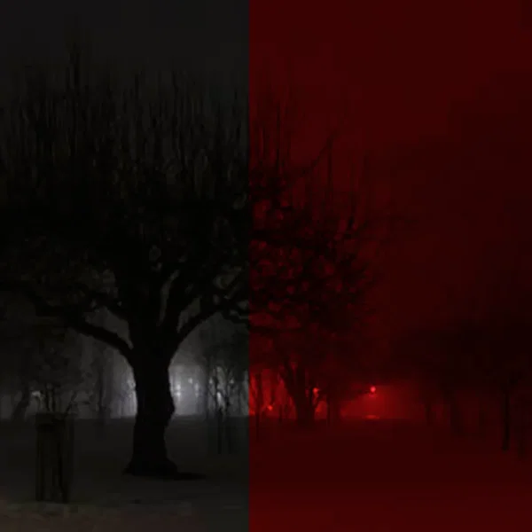 Evil in the Air (preview)