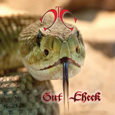 Gut Check by The Cloudscape Connection - album cover
