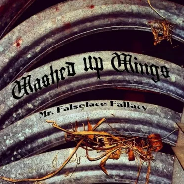 Mr Falseface Fallacy