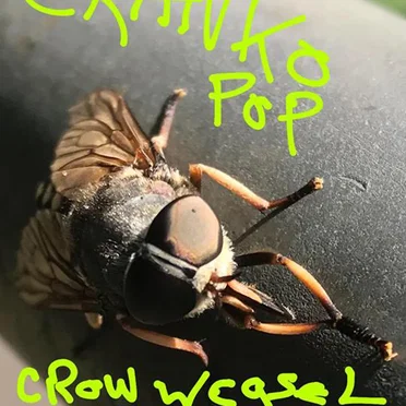 Crow Weasel Bastard