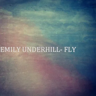 Fly