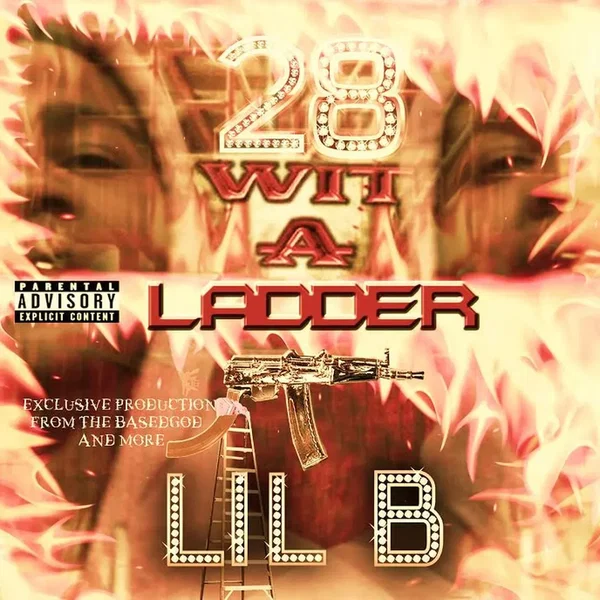 28 Wit a Ladder