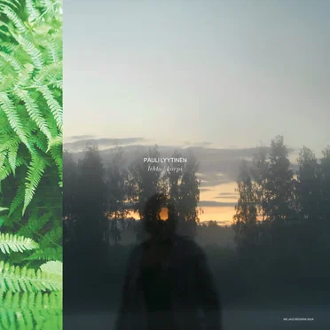 Lehto / Korpi by Pauli Lyytinen - album cover