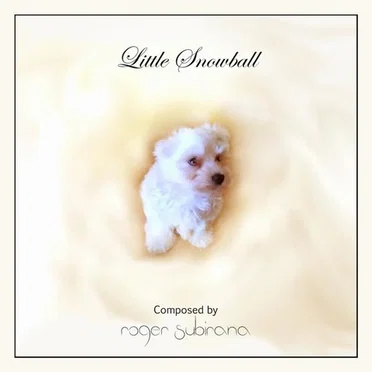 Little Snowball