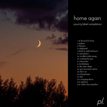 Home Again by Various Artists - album cover