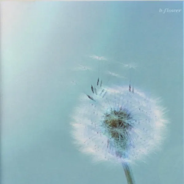 b-flower