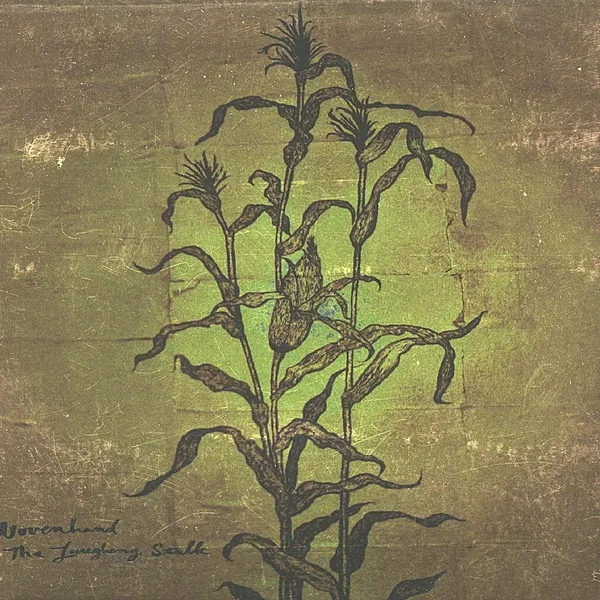 The Laughing Stalk