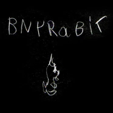 bny rabit by brother - album cover