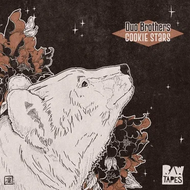 Cookie Stars by Duo Brothers - album cover